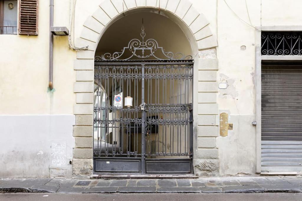 - Anthurium Firenze