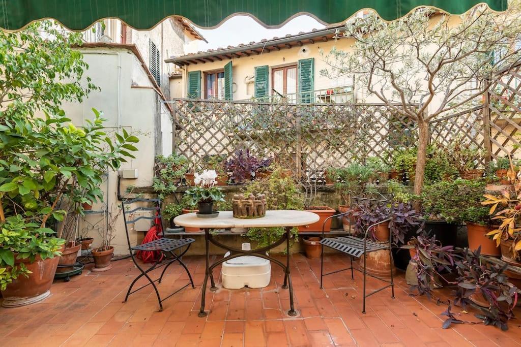 - Anthurium Appartamento Firenze