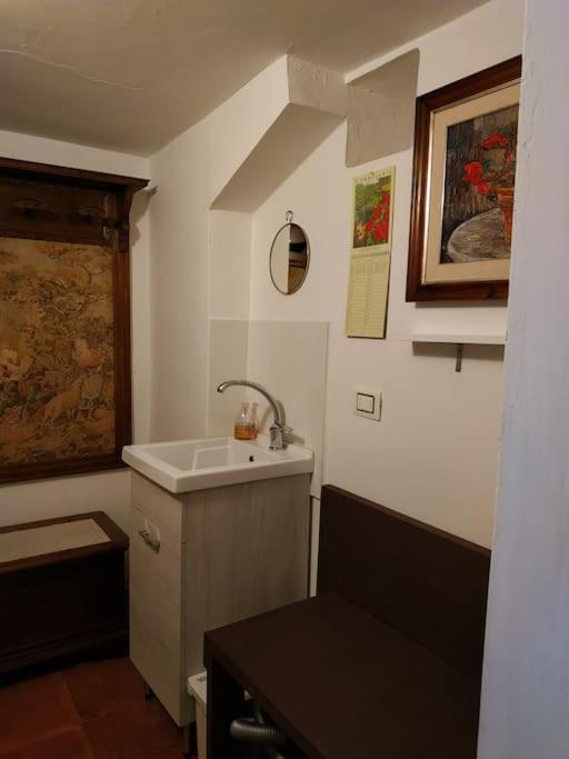 - Anthurium Appartamento Firenze