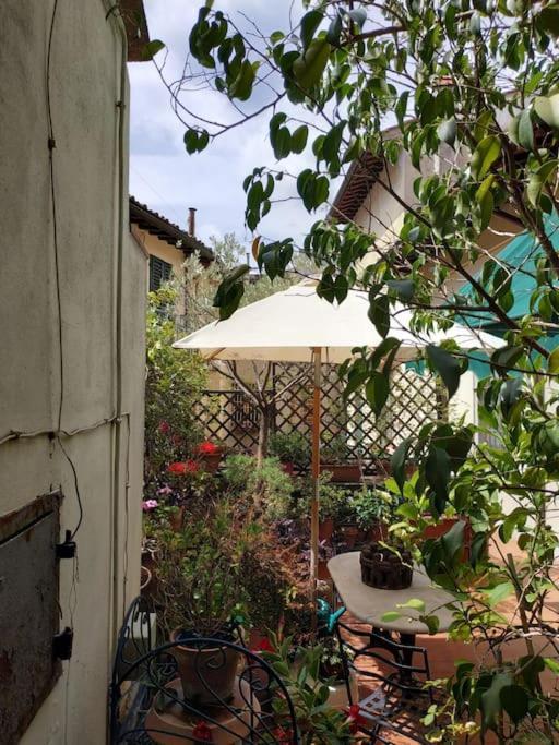 Appartamento - Anthurium Firenze